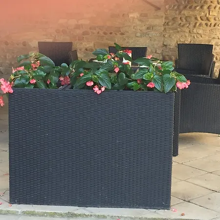 Le Moulin De Champagne 3* Viriat