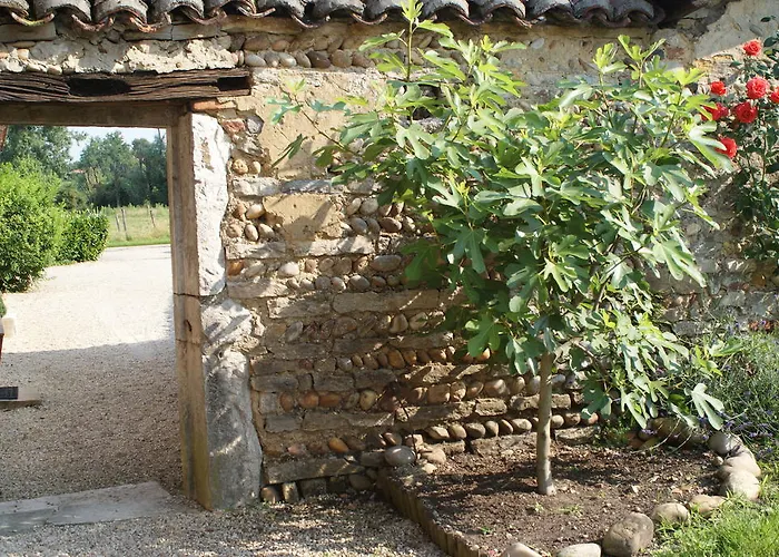 Le Moulin De Champagne