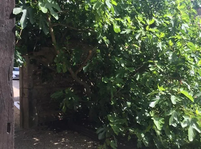 לינה וארוחת בוקר Le Moulin De Champagne