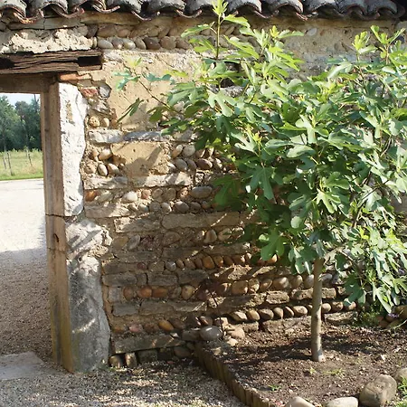 Le Moulin De Champagne