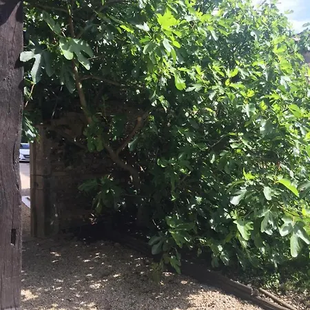 Bed & Breakfast Le Moulin De Champagne